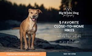 5 favorite close to home hikes 3 5 favorite close to home hikes pdf