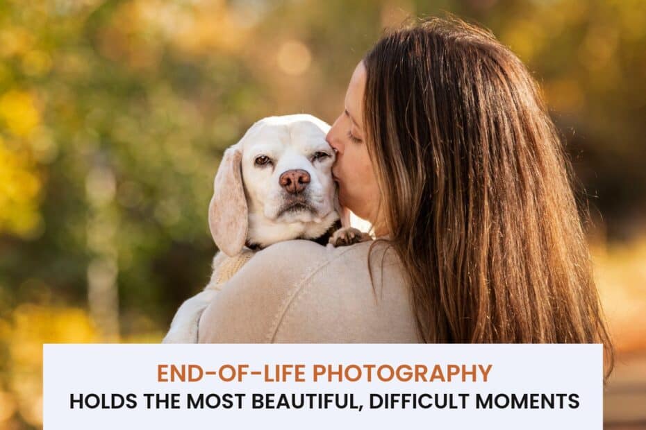 Copy of Blog header template 1 1