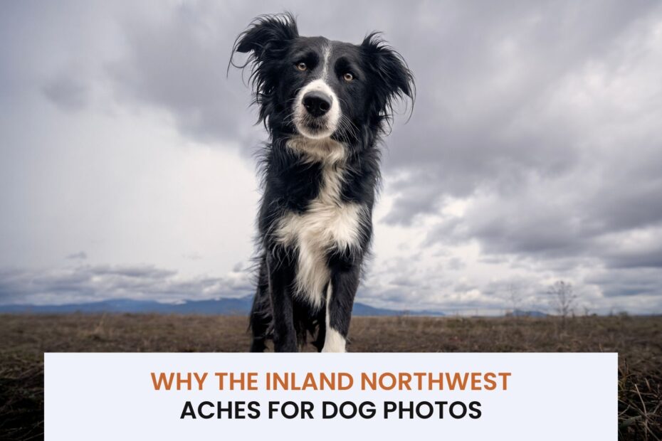 Copy of Blog header template 2