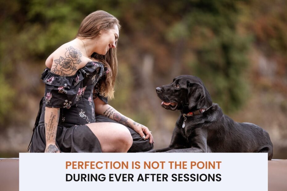 Copy of Blog header template 3