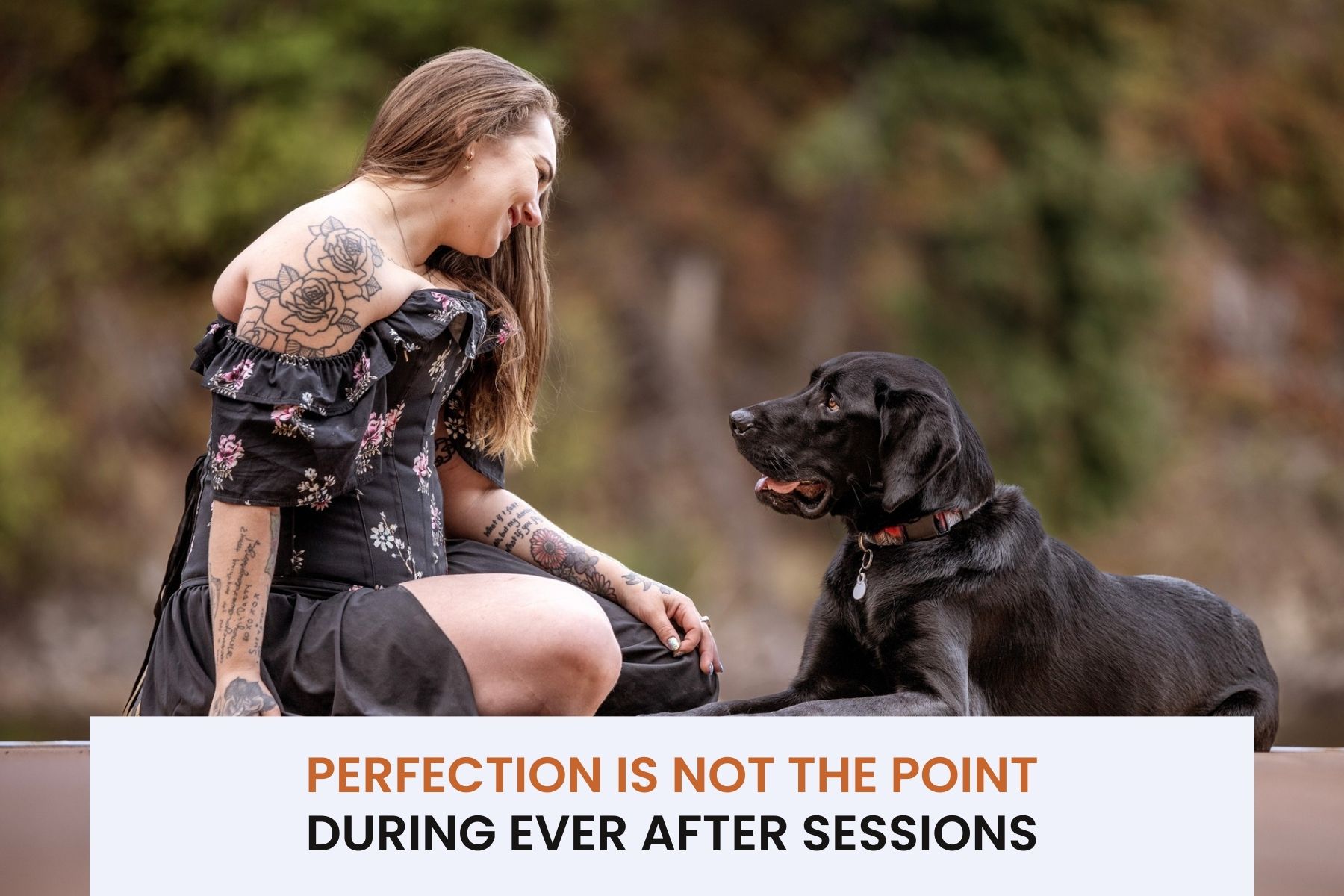 Copy of Blog header template 3