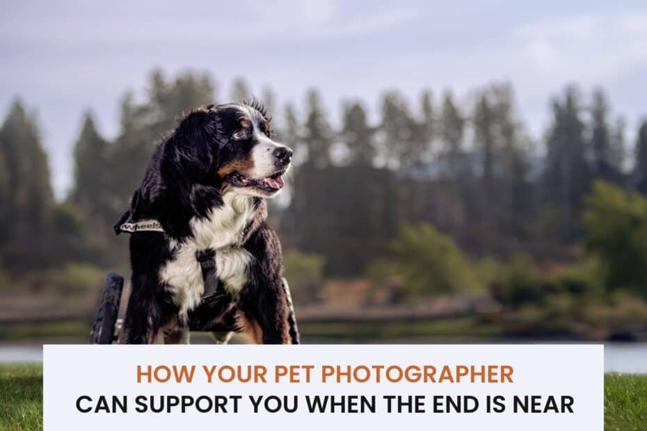 Copy of Blog header template 6